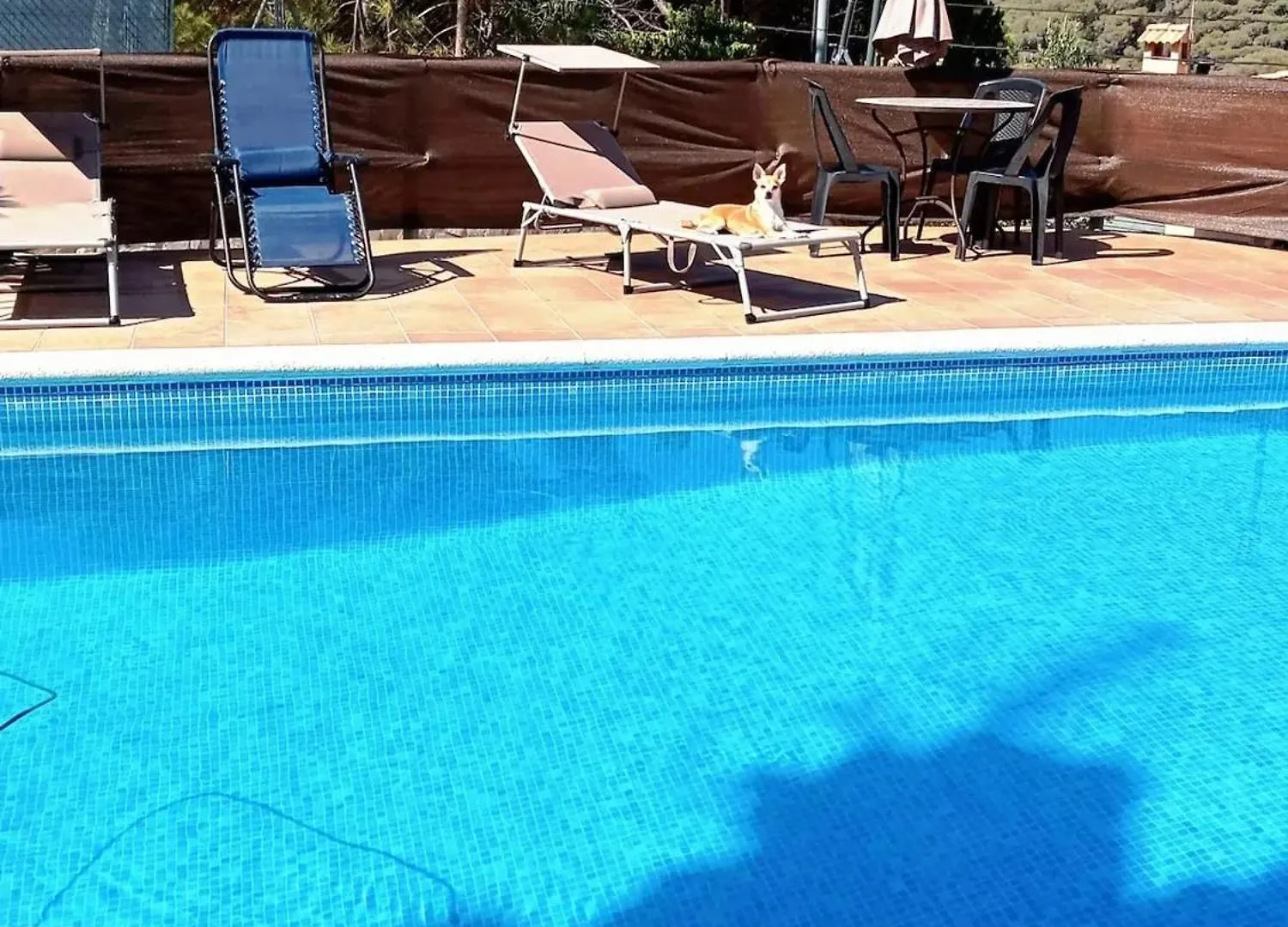 Ideal Apartment With Pool In Lloret De Mar Spain